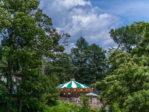 敷地内の小高い丘にある萌木の村の象徴、森のメリーゴーラウンド