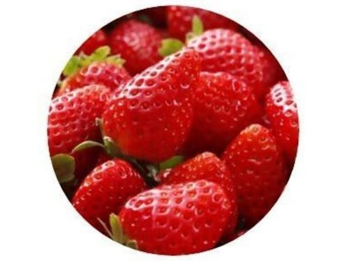 スイーツみたいなストロベリー ベリーツ