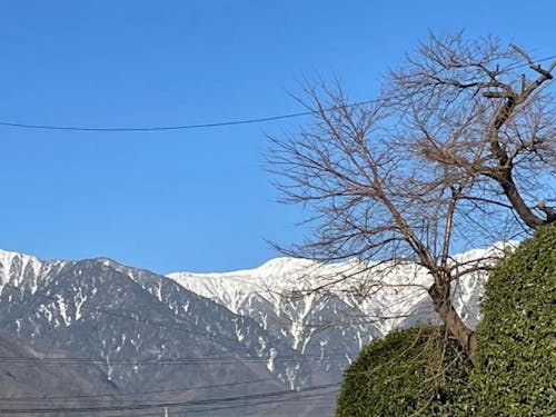 市長が市役所から見ている美しい冬の中央アルプス