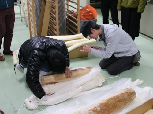 石棒をよく観察