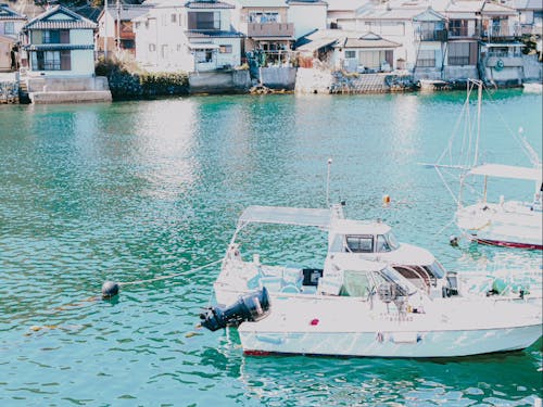 魚がおいしい漁港の街です