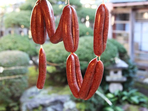 イノシシソーセージを地域の人と試作しています。