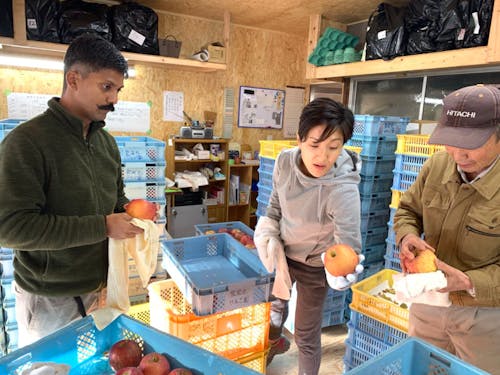 東京からリンゴ磨きを手伝いに10名来てくれました!