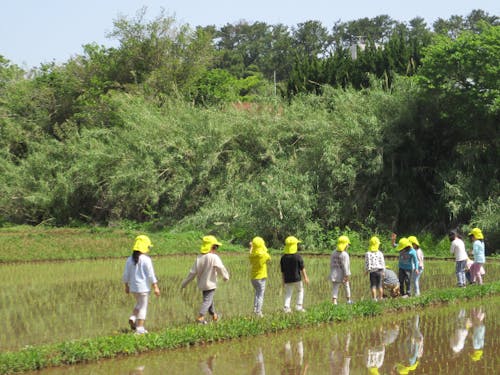田んぼでの外遊び
