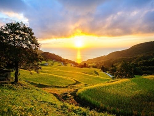 島ならでは!海を望む岩首昇竜棚田