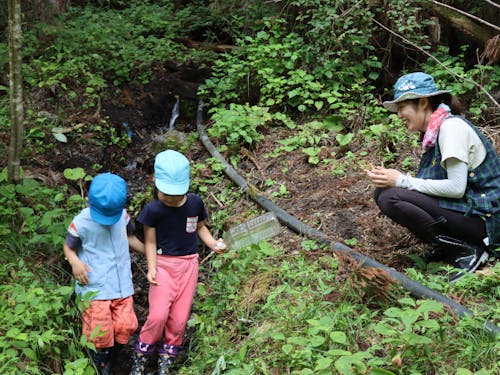 保育園の裏山には湧き水が流れ、たくさんの生き物に出会えるかも