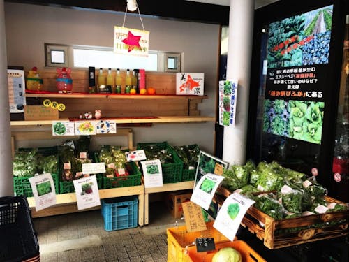 店内に地元野菜の販売コーナー