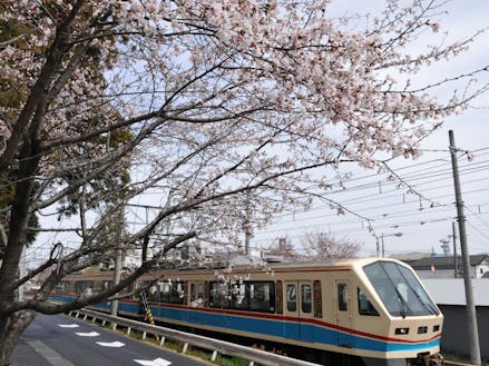 春の近江鉄道