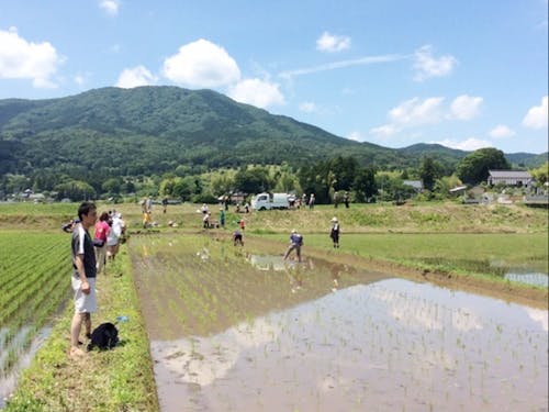都内から電車で60分。笠間市はちょうどいい田舎です。