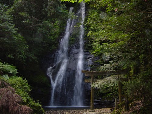 滝の名所を通り過ぎ、市街地から車を走らせること約50分。