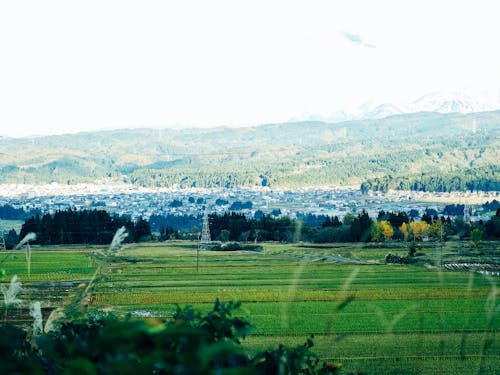 山も川も海も近い十日町