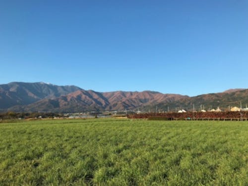 毎日アルプスを見ながらの暮らしは癒されます!