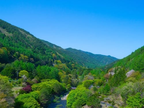 宿泊先の川島の谷