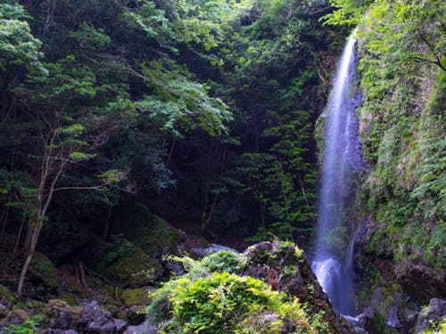 「森谷観音滝」(もりやかんのんだき)