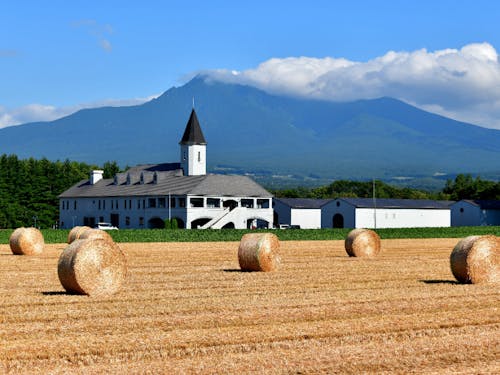 町のシンボル「斜里岳」