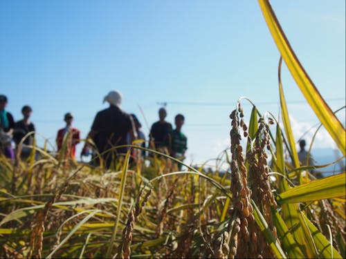 農業の可能性を一緒に考えよう!
