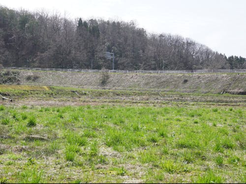 耕作放棄地をフィールドに、コメ暮らしクラブ始動