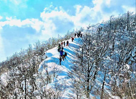 大万木山の冬季スノーシュートレッキングは達成感抜群！