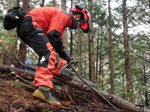 チェーンソーを扱います