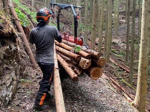 木を切り出して運びます