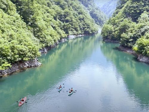 桂湖GREEN CAMP2023 PRムービーより抜粋