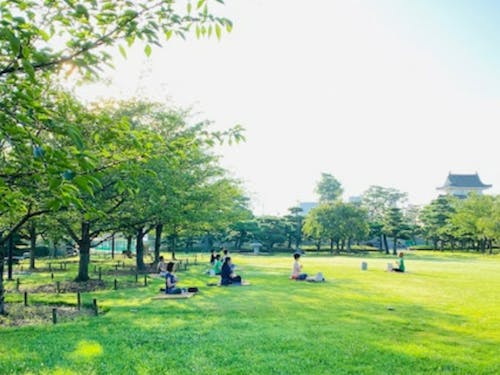 玉藻公園での朝活ヨガ