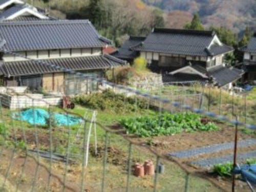 家庭菜園に十分の広さの畑でゆったりと田舎暮らしが楽しめます。