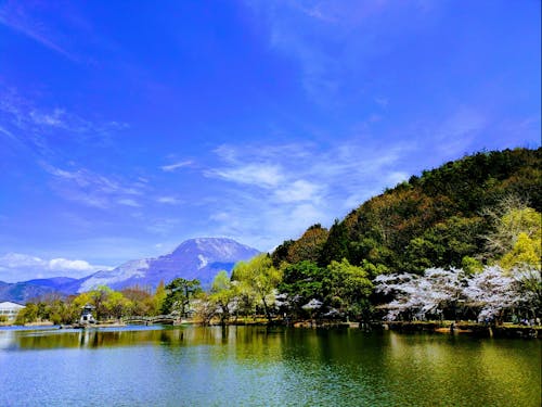 春の三島池から伊吹山を望む