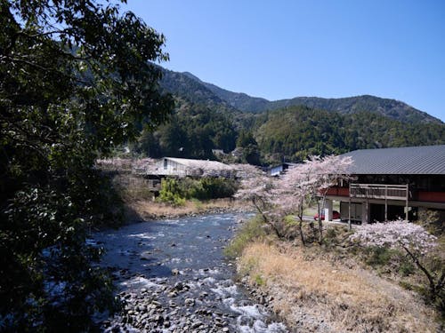 美しい村の風景