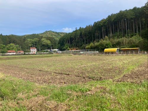 別府弁天池そばの田んぼ!!ここで作ります!