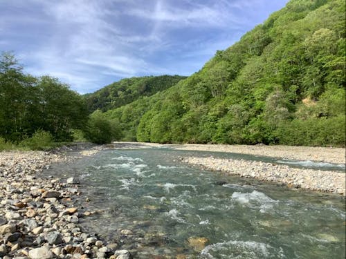 北アルプスの雪解け水が流れる鹿島川