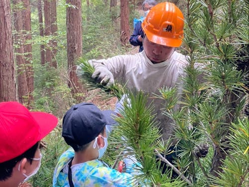 高野槇を通じて村民の皆様と交流