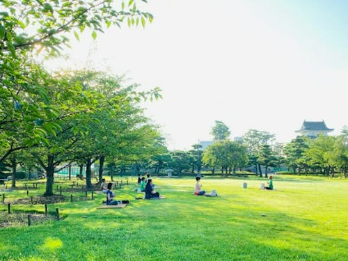 玉藻公園での朝ヨガ
