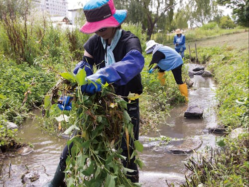河川清掃