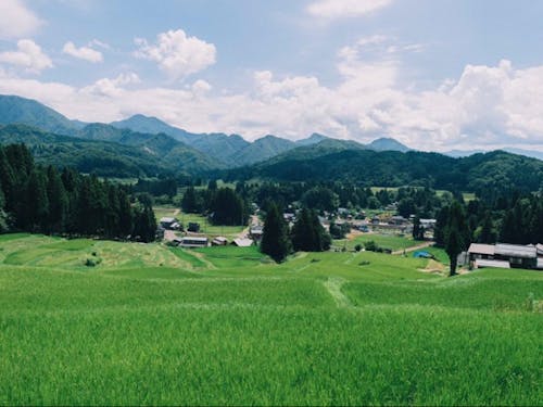 世界的アウトドアブランド「snow peak」の本社も下田にあります。