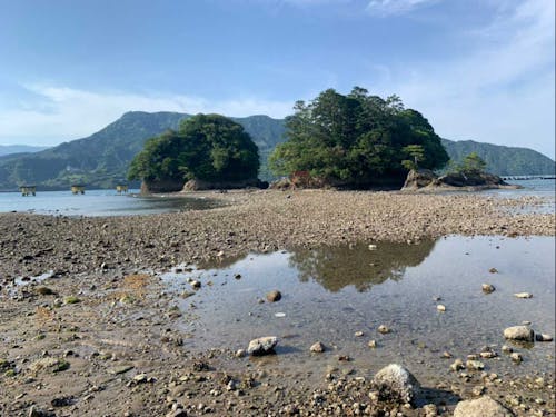 渡れるようになった弁天財(干潮時)