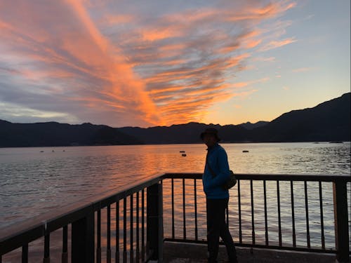 非日常な日常の散歩道