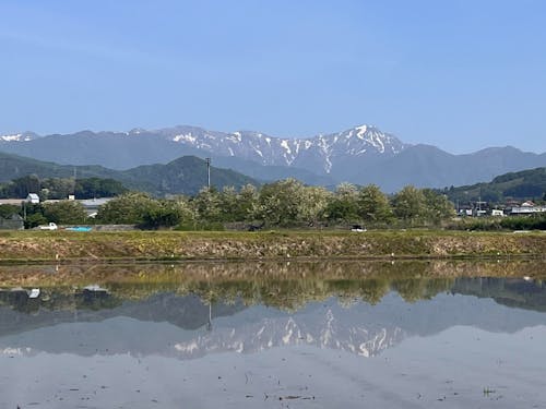 田んぼに映る"逆さ"谷川岳。