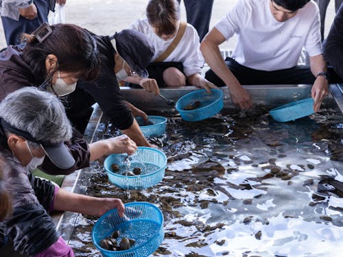 こちらは毎年6月に開催されている「尾岱沼えびまつり」での一幕。あさりすくいを楽しまれている皆さんの写真です。イベントの来場者数、消費行動、観光客の動きなど、様々なデータが取得できる絶好の機会でもあります。※今年は、北海シマエビの漁獲量が確保できないため、残念ながら中止となっています。
