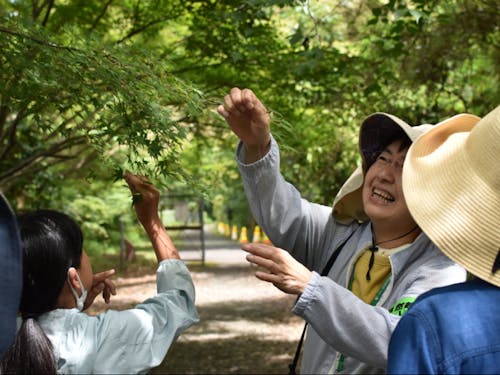 「多賀植物観察の会」の案内で、胡宮神社周辺で見られる植物観察をしながらクマザサを折りに行きます。