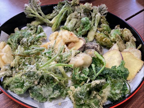 金沢での半農半X暮らしも叶います