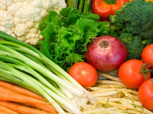 季節の野菜は驚きのおいしさ