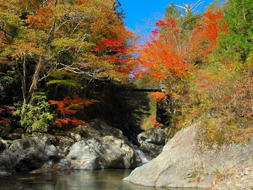 自然豊かで四季折々素敵な環境で働くことが出来ます
