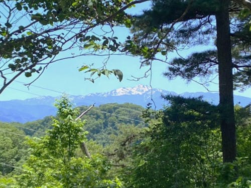 運動に加えて、自然美を見ることでリフレッシュ効果に