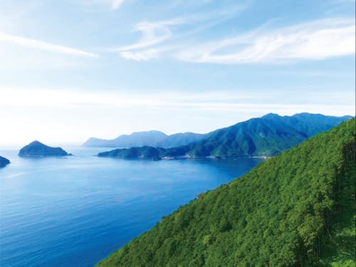 複雑な海岸線と共に美しい景色を織りなす尾鷲の地形