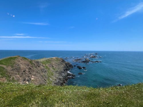 観光地として有名なえりも岬では毎日多くの人が訪れます!