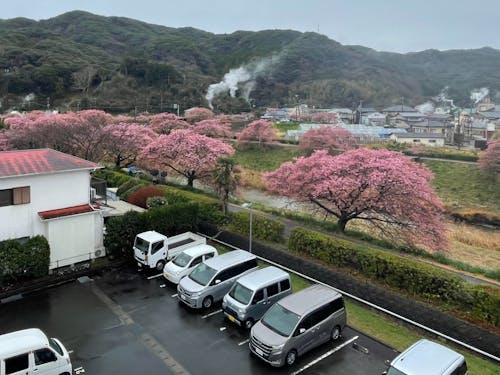 河川の整備もお仕事のひとつ