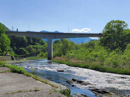清流の荒川沿いの水辺