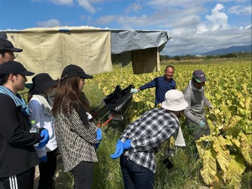 作業の説明風景