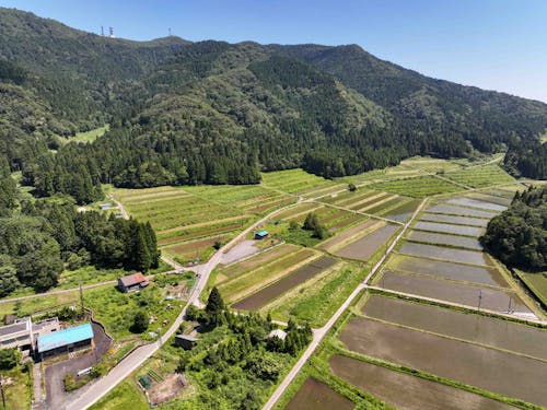 在原地区の棚田